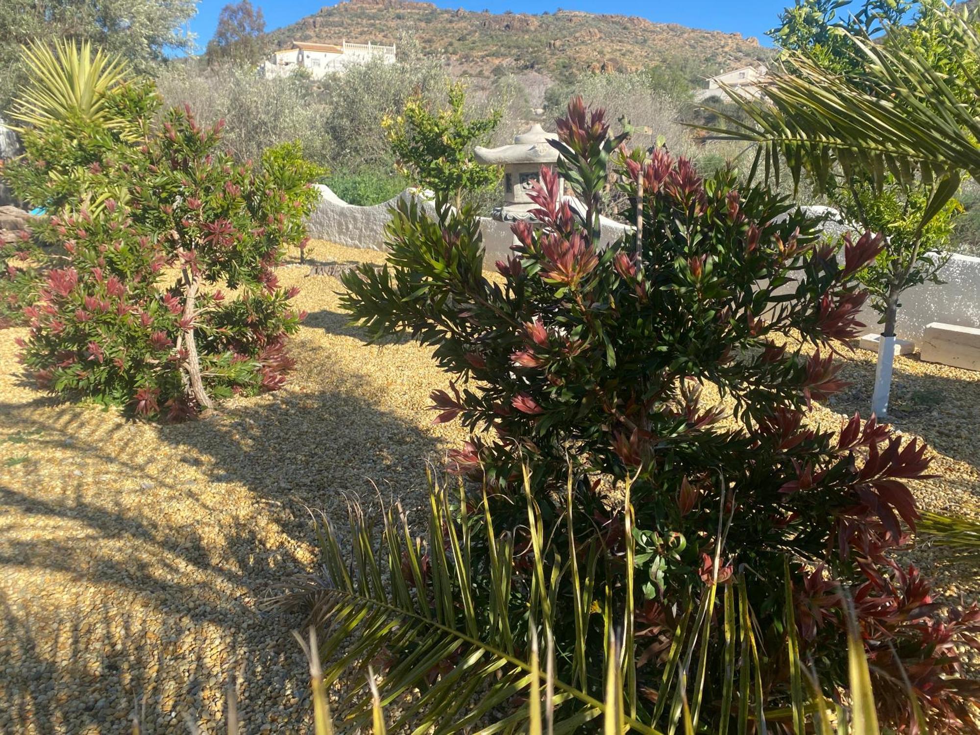 Cortijo Los Corazones Cantoria Kültér fotó